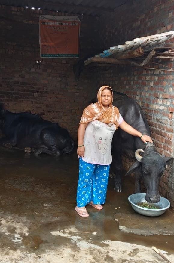 ग्रामोत्थान (रीप) परियोजना से आत्मनिर्भर बनीं श्रीमती पुष्पा: संघर्ष से सफलता तक की प्रेरणादायक कहानी
